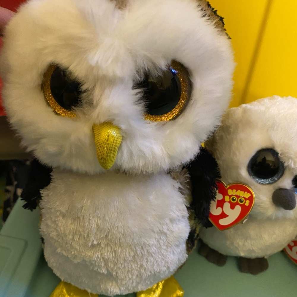 TY Owl Collection Bundle - Picture 2 of 6